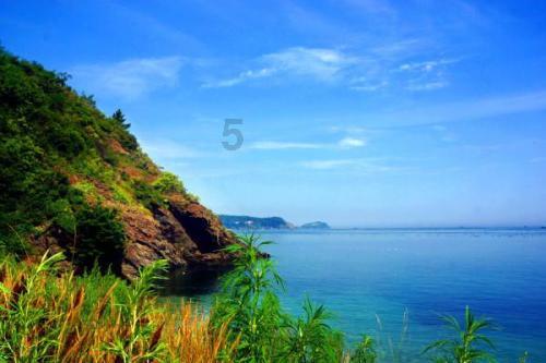 全民烧脑3去广告版